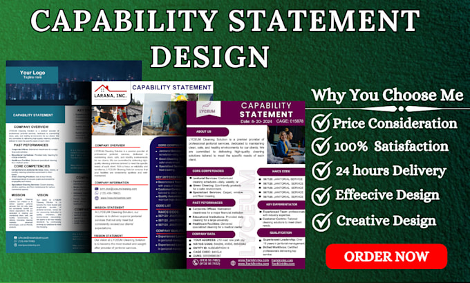 Gig Preview - Create a compelling capability statement design, government capabilty statement