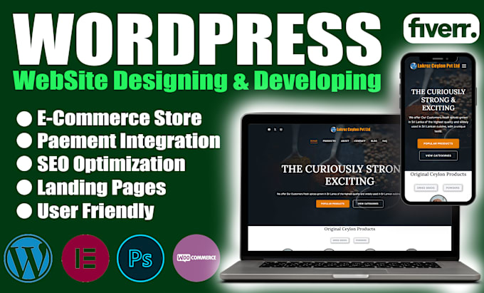 Gig Preview - Build modern and responsive wordpress website design