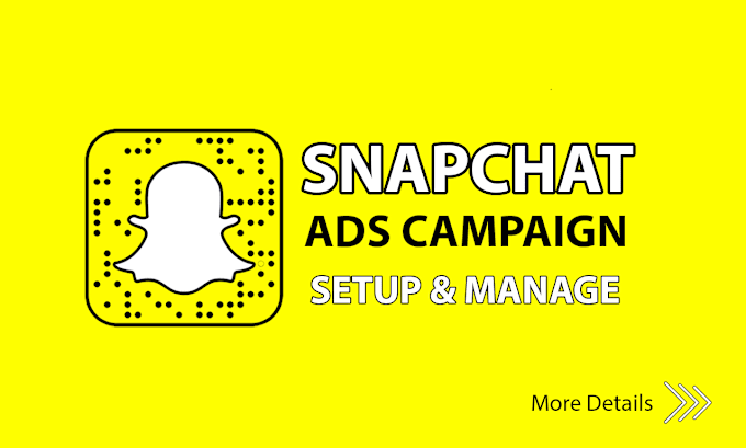 Gig Preview - Run snapchat ads, run snapchat ads campaigns