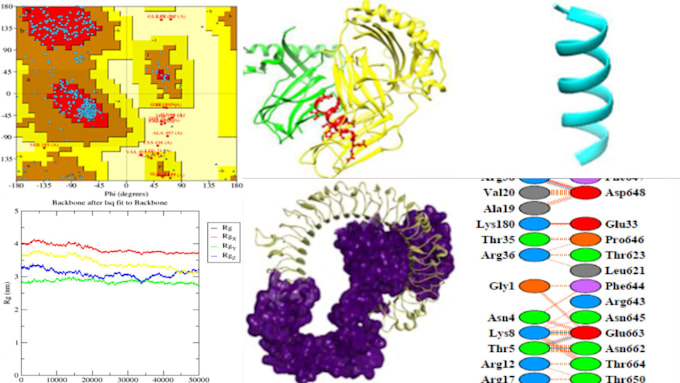 Gig Preview - Do bioinformatics and computational biology analysis