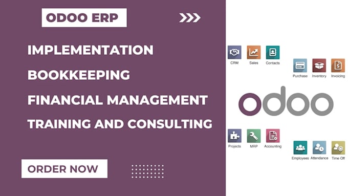 Gig Preview - Provide odoo accounting consultancy and training