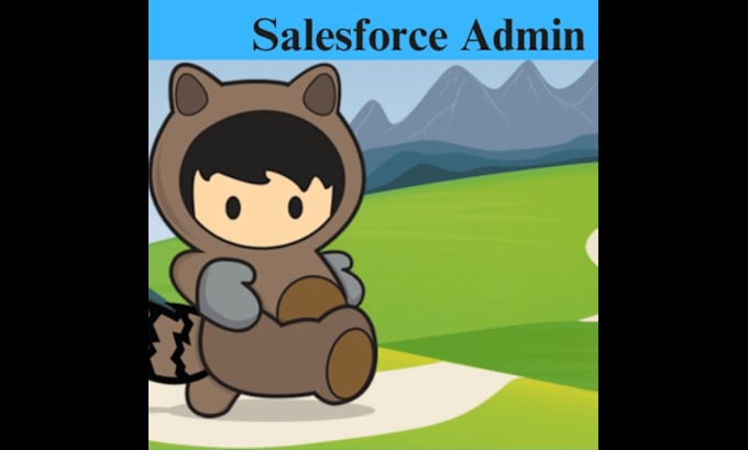 Bestseller - be your salesforce systems administrator