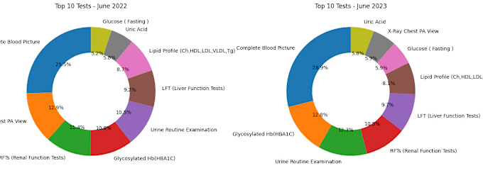 Gig Preview - Do data cleaning, analysis, visualization using python, excel