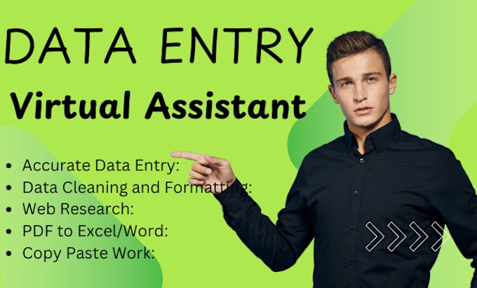 Gig Preview - Do fastest data entry in one day and internet research