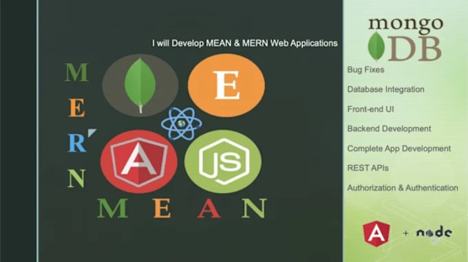 Gig Preview - Develop mern stack websites and applications