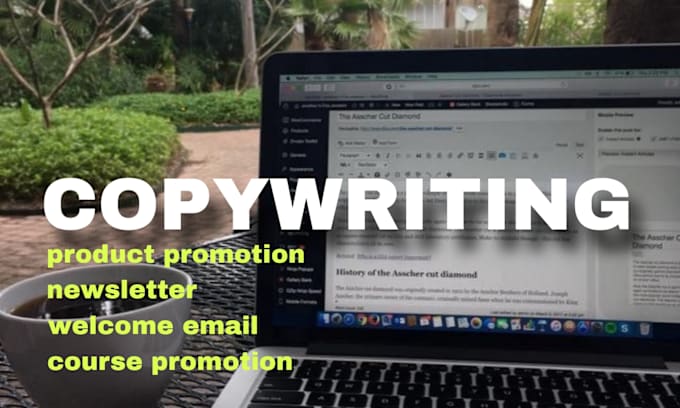 Gig Preview - Provide promotional email copywriting