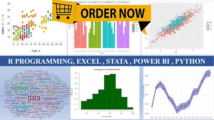 Gig Preview - Tutor r programming , stata , python , data analysis lessons