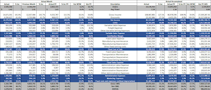 Gig Preview - Build a financial model and forecasts for your project