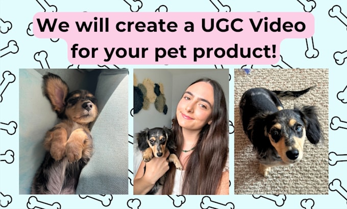 Gig Preview - Create a ugc video for your dog products with my puppy