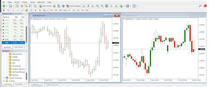 Gig Preview - Code mt4 mt5 indicator, expert advisor, forex trading bot with your strategy