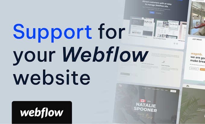 Gig Preview - Update your webflow website content, design, or fix problems