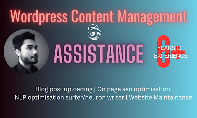 Gig Preview - Manage your wordpress blog and help with daily operations like content uploading