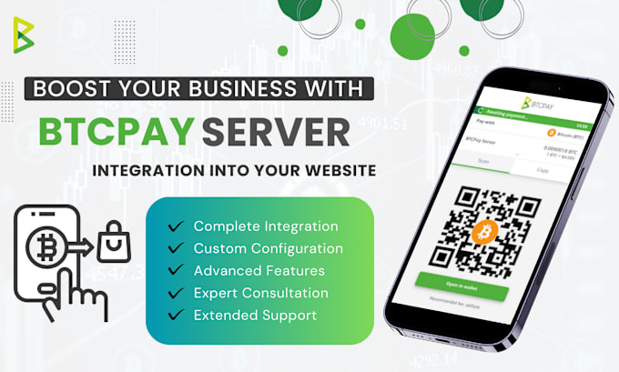 Gig Preview - Expertly integrate btcpay server into your business website