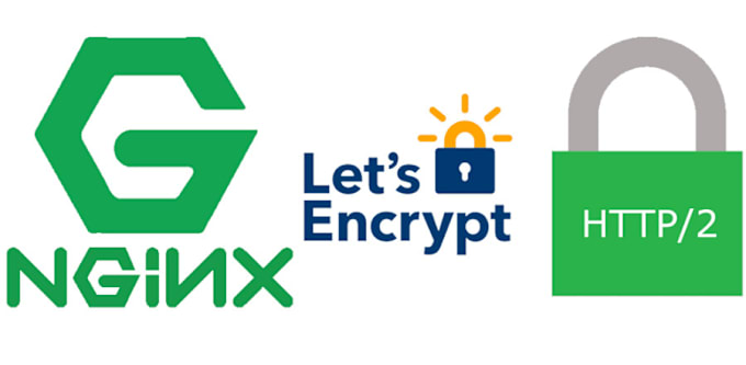 Gig Preview - Deploy your nginx web server with free SSL certificate setup