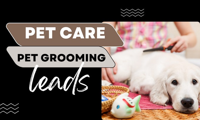 Gig Preview - Generate excusive pet care lead pet grooming leads design pet supplies website