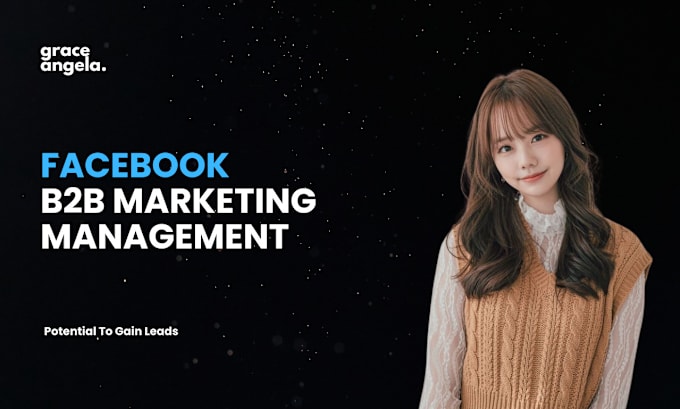 Gig Preview - Do facebook b2b marketing management