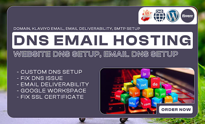 Bestseller - dns email hosting spf cdn txt record domain transfer subdomain setup mx records