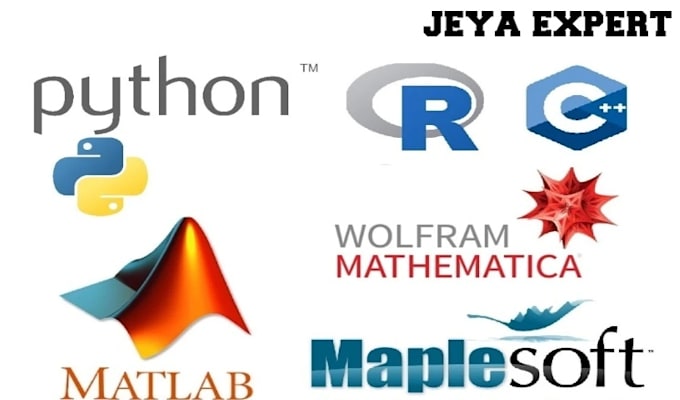 Gig Preview - Do machine learning, matlab, python deep learning and r programming