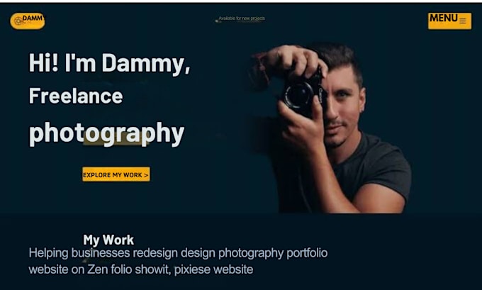 Gig Preview - Design a photography website on pixiest website, zoho crm website automation