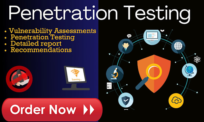 Gig Preview - Perform penetration testing and vulnerability assessments