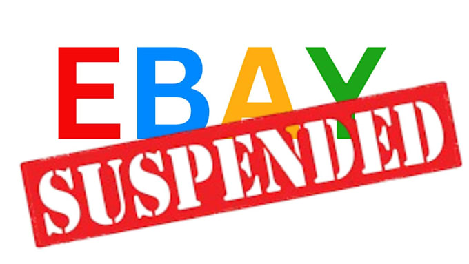 Gig Preview - Do ebay reinstatement, ebay suspension, appeal letter