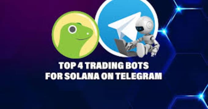 Gig Preview - Setup crypto volume bot, pump fun bot, telegram bot, solana trading bot