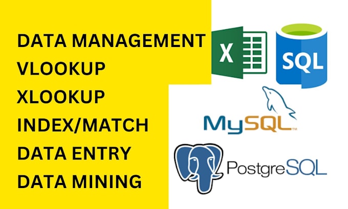 Gig Preview - Organize data formula, vlookup, xlookup index and match data cleanup in excel