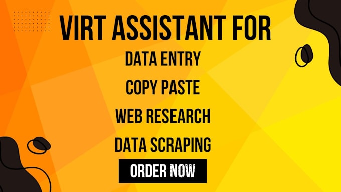 Gig Preview - Be your virtual assistant for data entry, web research and copy paste