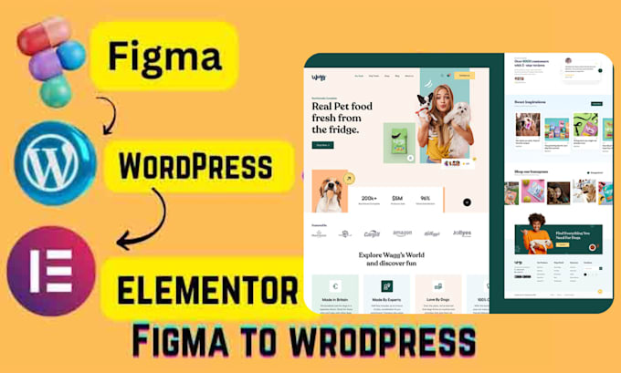 Gig Preview - Convert figma to wordpress , figma to elementor pro