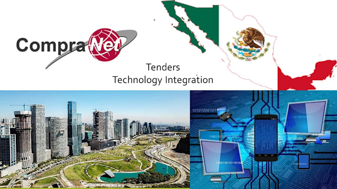 Gig Preview - Be your full cycle technology tender director in mexico