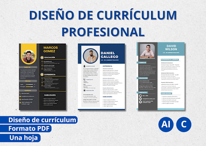 Gig Preview - Diseñar tu plantilla de curriculum profesional