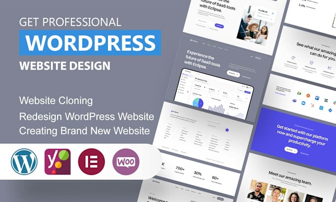 Gig Preview - Design professional wordpress website or landing pages