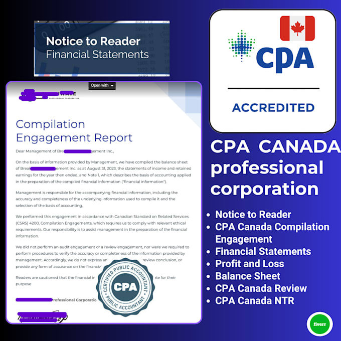 Gig Preview - Do notice to reader CPA canada compilation engagement CPA review and ntr