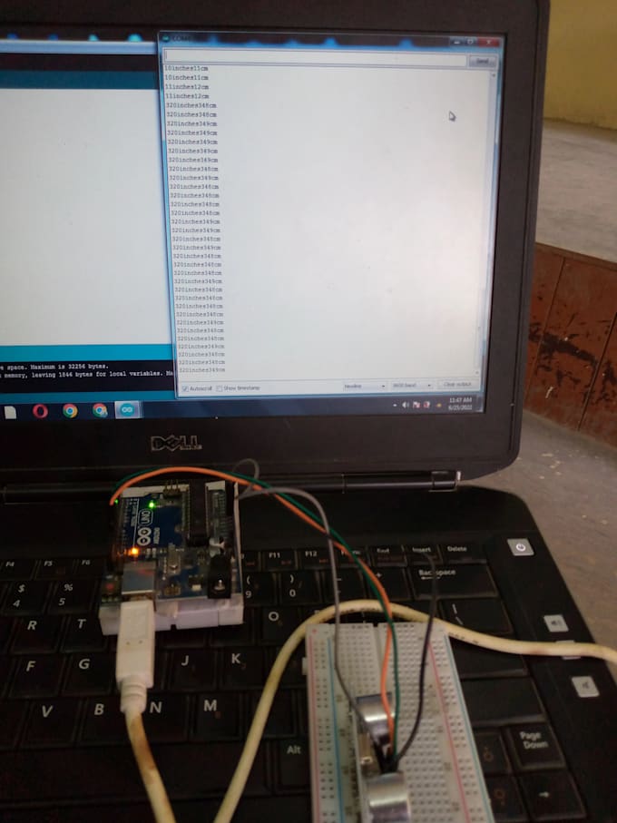 Gig Preview - Do arduino programming, iot projects and robotic simulations