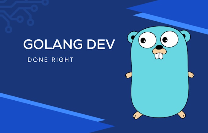 Gig Preview - Develop, improve and fix rest apis in golang