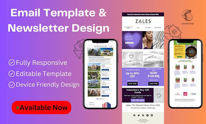 Gig Preview - Design mailchimp email template newsletter within 24 hours