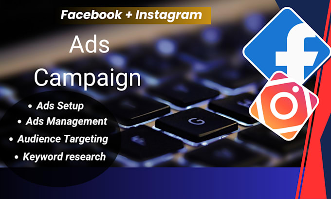 Gig Preview - Create and manage your facebook and instagram ads campaign