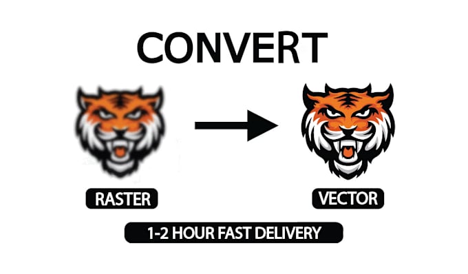 Gig Preview - Do vector tracing , image to vector , logo to vector