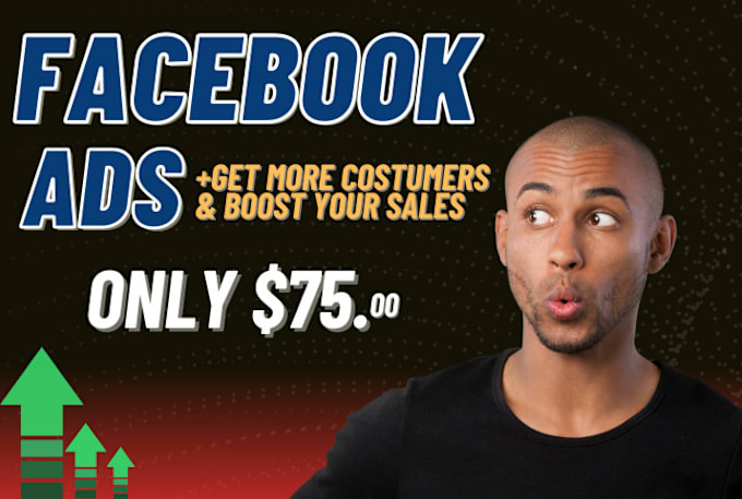 Gig Preview - Make your facebook ads campaigns work for you