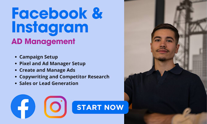 Gig Preview - Manage your facebook and instagram ad campaigns