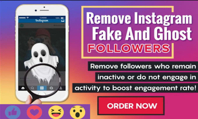 Gig Preview - Remove ghost followers and bot from instagram facebook twitter tiktok manually