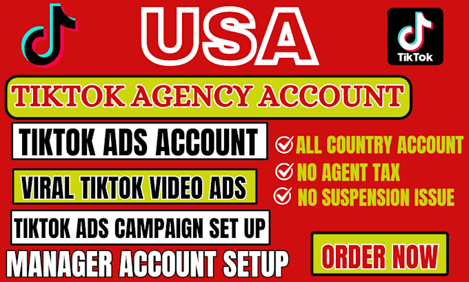 Gig Preview - Create usa tiktok agency, ads manager account, tik tok shop for non US resident