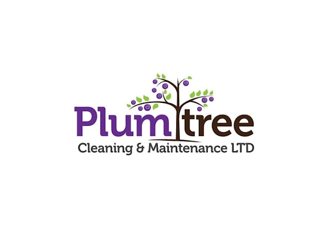 Gig Preview - Design cutting edge plumtree cleaning logo