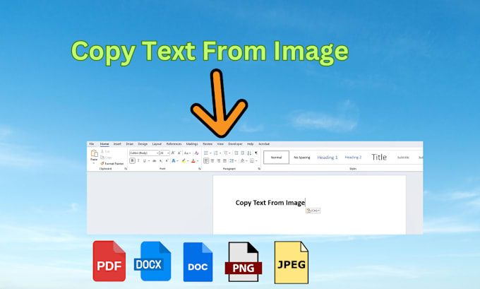 Gig Preview - Accurately copy text from image to document or another image