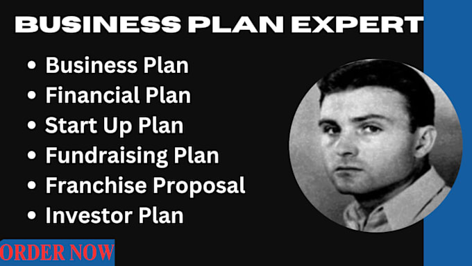 Gig Preview - Compose a complete business plan with a financial plan