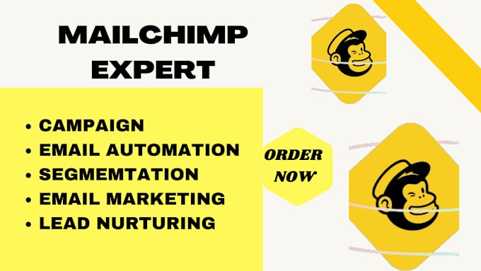 Gig Preview - Do mailchimp email template design email marketing and automation