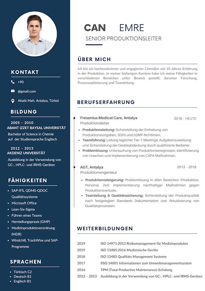 Gig Preview - Create and design your german CV resume in native german