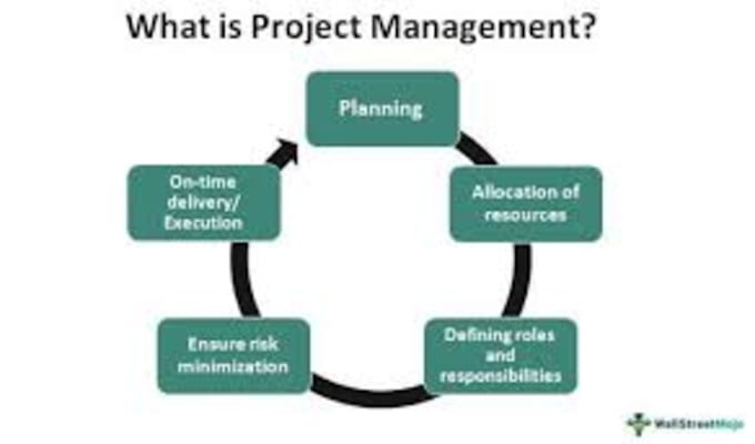 Gig Preview - Do project management assignments, reports and tasks