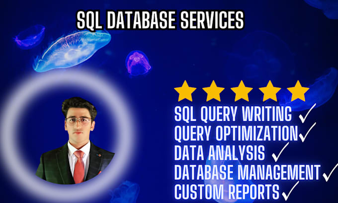 Gig Preview - Do professional sql database services