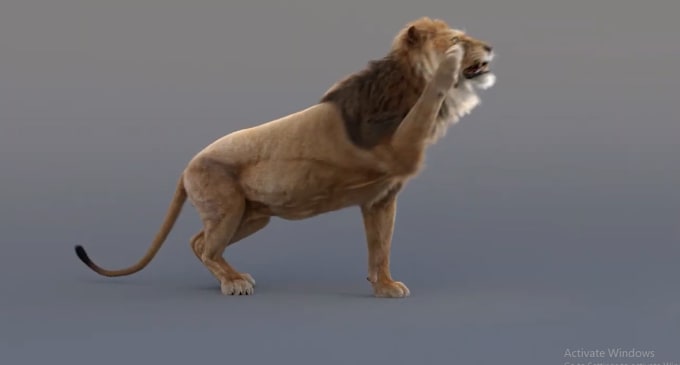 Gig Preview - Integrate 3d animal animation, 3d animal rigging,3d animal model, xgen hair, fur